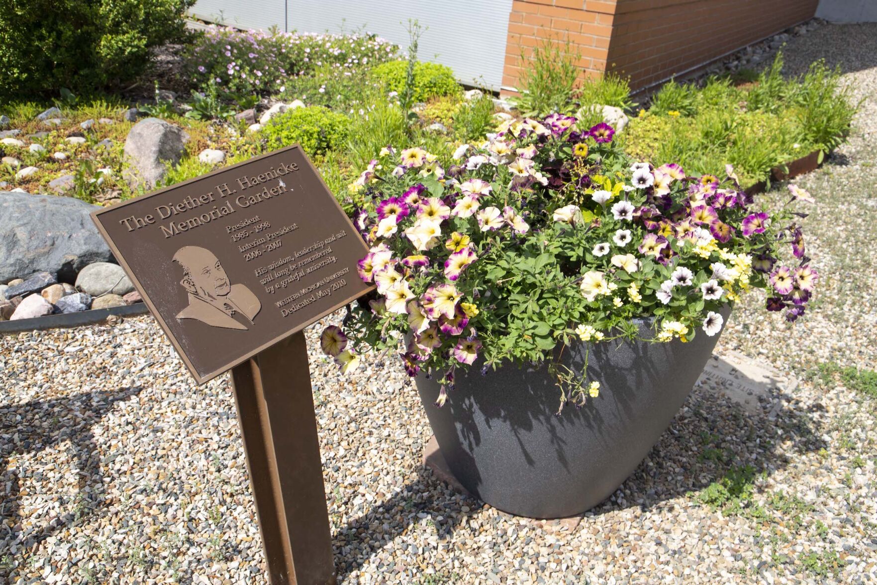 self watering planters